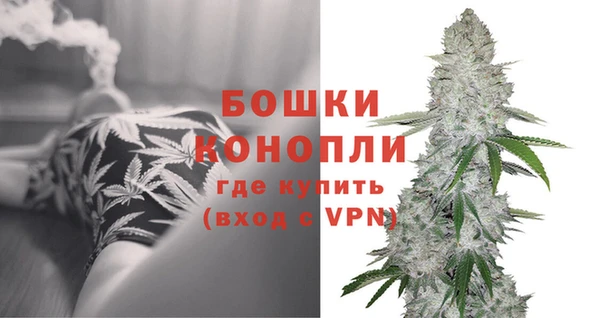 трава Вязьма