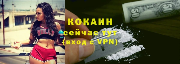 кокс Вяземский