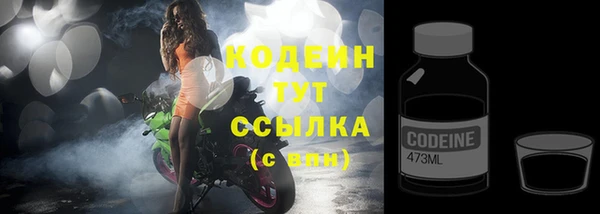кокс Вяземский