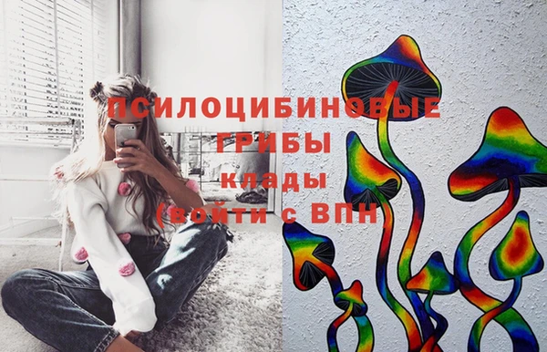 трава Вязьма