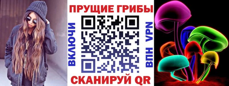 Купить  Рошаль  Псилоцибиновые грибы GOLDEN TEACHER 